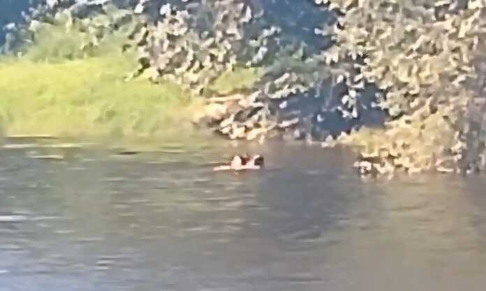 WhatsApp Image 2026-02-11 at 08.16.08