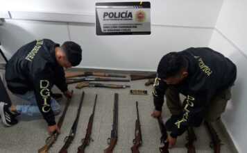 Descubren un ársenal, un criadero ilegal de perros y secuestran drogas en diversos operativos en Córdoba