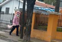 Un therian suelto en Playas de Oro: ¿viste algún otro en Carlos Paz?