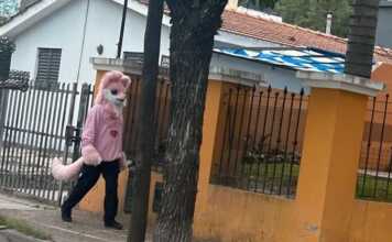 Un therian suelto en Playas de Oro: ¿viste algún otro en Carlos Paz?