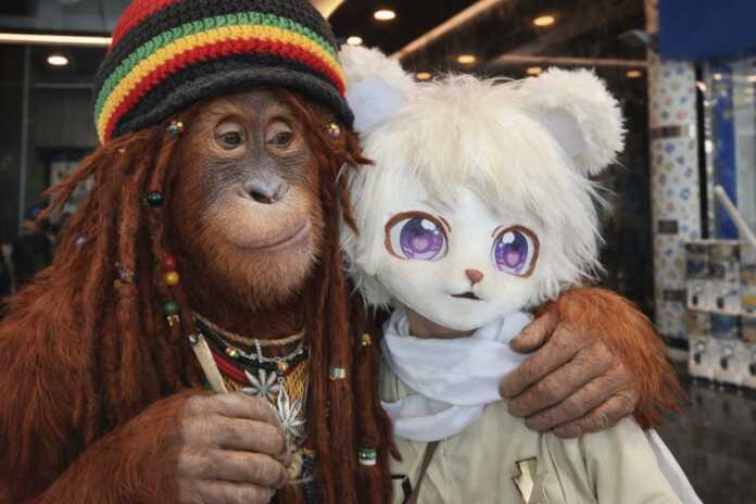 WhatsApp Image 2026-02-13 at 17.55.21