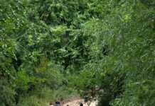 Peregrinacíon al Parque Temático