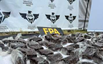 Secuestran seis kilos de “brownies recargados” en el predio del Cosquín Rock