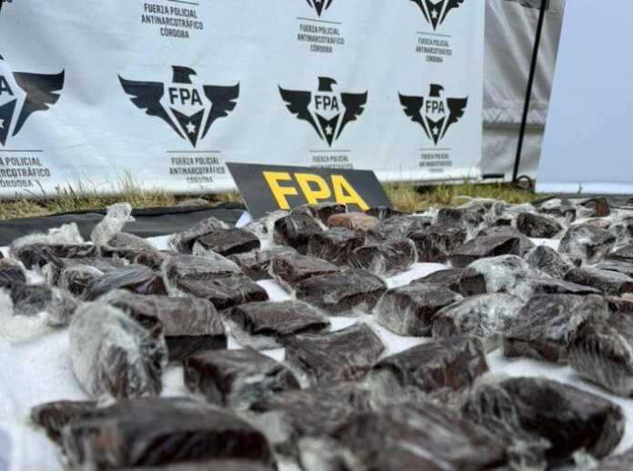 WhatsApp-Image-2026-02-14-at-5.47.12-PM-705x940