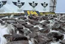 Incautaron más de seis kilos de brownies con marihuana en inmediaciones del Cosquín Rock: hay dos detenidos