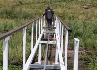 Parque Nacional Quebrada del Condorito avanza con obras clave para su reapertura