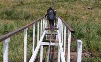Parque Nacional Quebrada del Condorito avanza con obras clave para su reapertura