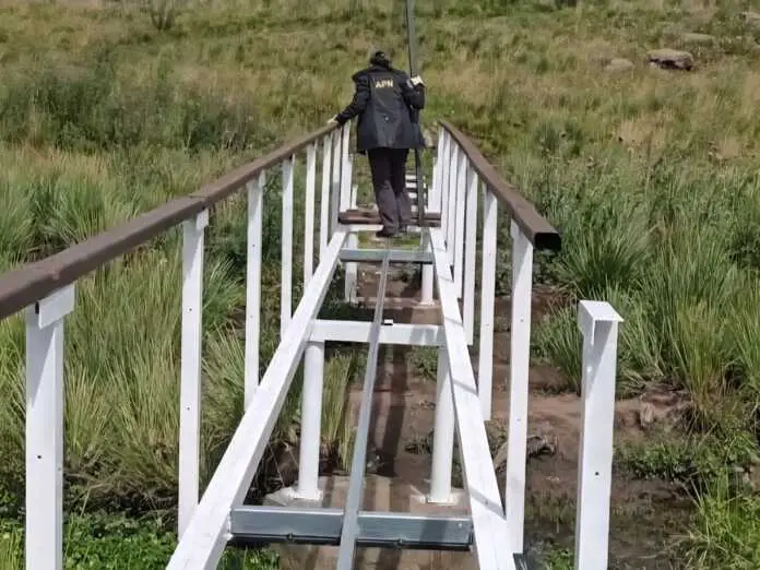 WhatsApp Image 2026-02-19 at 1.33.47 PM