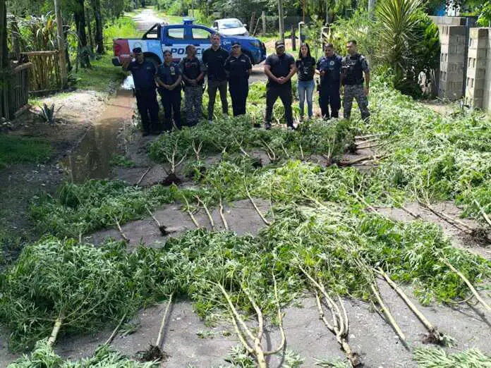 WhatsApp Image 2026-02-19 at 16.07.51