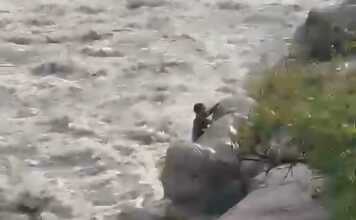 Video: imprudencia y milagro se tiró al río Mina Clavero en plena creciente