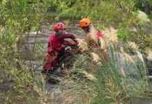 Un perrito quedó atrapado en el río crecido y lo rescataron en Playas de Oro
