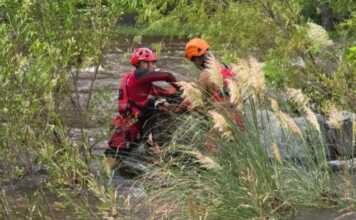 Un perrito quedó atrapado en el río crecido y lo rescataron en Playas de Oro