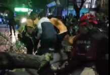 Cayó un gran árbol y atrapó a un repartidor en Nueva Córdoba