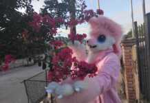 Quién es el “Cerise”, el joven que deambula con su personaje furry por las calles de Carlos Paz