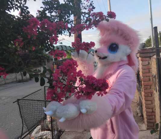 Quién es el “Cerise”, el joven que deambula con su personaje furry por las calles de Carlos Paz