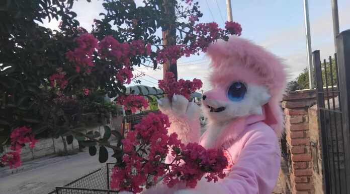 Quién es el “Cerise”, el joven que deambula con su personaje furry por las calles de Carlos Paz