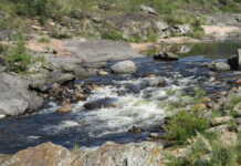 “El río nos une”: Convocan a una jornada de limpieza de playas de Cuesta Blanca