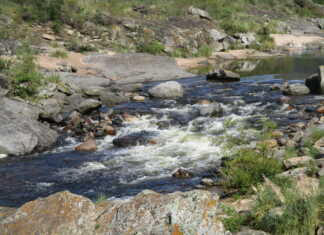 “El río nos une”: Convocan a una jornada de limpieza de playas de Cuesta Blanca