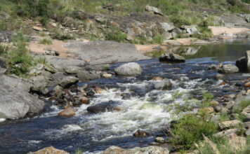 “El río nos une”: Convocan a una jornada de limpieza de playas de Cuesta Blanca
