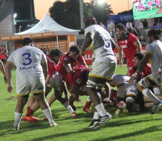 Dogos XV sufrió pero festejó: agónico triunfo por la mínima ante Cobras Brasil