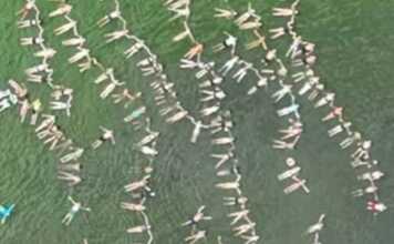 Festival de la Planchita: Un récord de asistentes en el boom turístico de Miramar