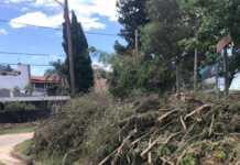 Tras dos meses de demoras, el municipio anuncia la normalización de la recolección de podas en Carlos Paz