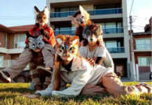 El fenómeno “Therian” llega a Córdoba: entre la búsqueda de identidad y la polémica en Jesús María