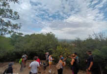 Carlos Paz: Vecinos salieron a recolectar semillas nativas en las sierras