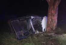 Tragedia en una ruta de Córdoba: murió tras chocar contra un árbol con una camioneta