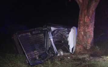 Tragedia en una ruta de Córdoba: murió tras chocar contra un árbol con una camioneta