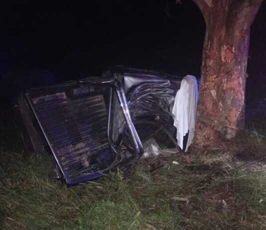Tragedia en una ruta de Córdoba: murió tras chocar contra un árbol con una camioneta