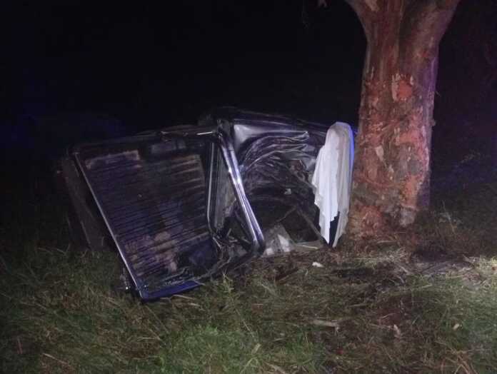 651764462_1463012298616708_6236132552793101825_n