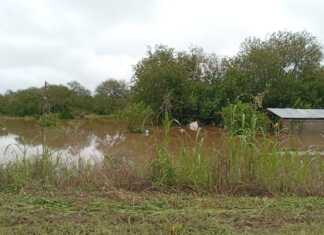 Ante las inundaciones en Tucumán Naranja X duplica tus donaciones a Cruz Roja Argentina