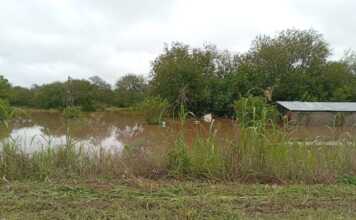Ante las inundaciones en Tucumán Naranja X duplica tus donaciones a Cruz Roja Argentina