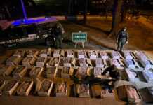 Córdoba: transportaban una tonelada de sábalos sin cadena de frío y fueron decomisados