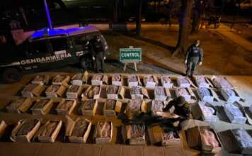 Córdoba: Decomisan una tonelada de sábalos que trasladaban sin cadena de frío