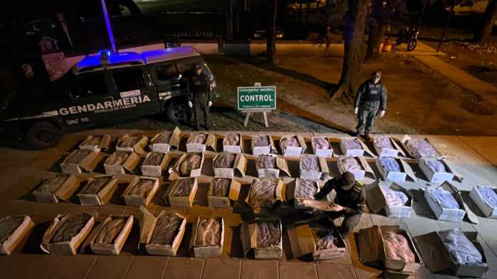 Córdoba una tonelada de pescado sin cadena de frío (1)