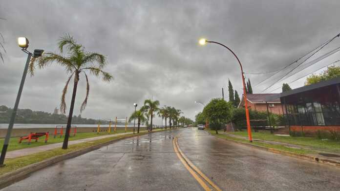 WhatsApp Image 2026-03-03 at 10.33.16