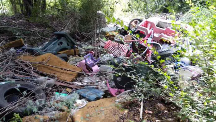 WhatsApp Image 2026-03-05 at 14.57.37