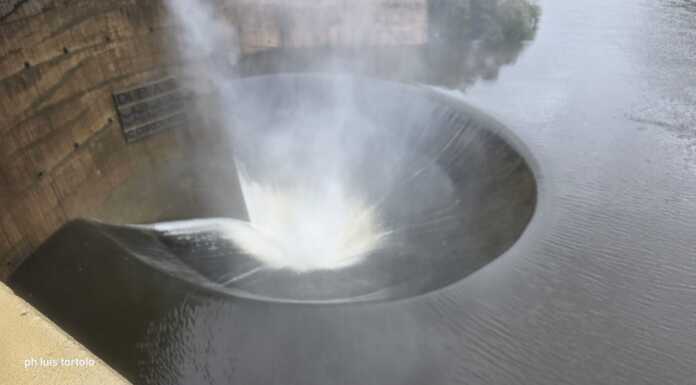 “AguaViva por el embudo”