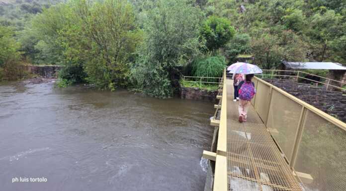 Llueve en la Usina Molet