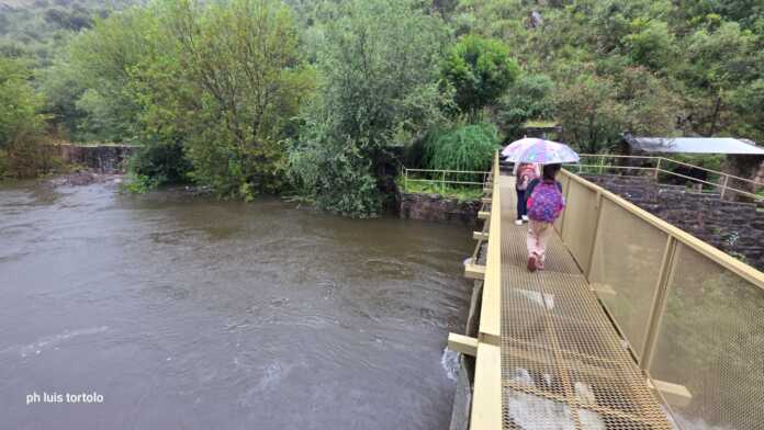 WhatsApp Image 2026-03-07 at 10.25.29