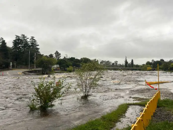 WhatsApp Image 2026-03-08 at 18.57.36