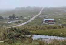 Desafiando al pronóstico