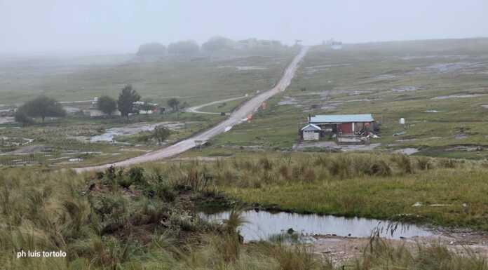 Desafiando al pronóstico