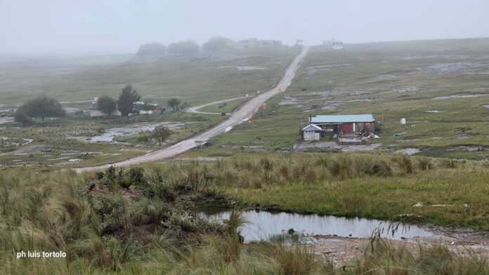 WhatsApp Image 2026-03-08 at 20.48.36