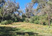 Cosquín: Cómo es y dónde se encuentra el descampado donde hallaron a Esmeralda