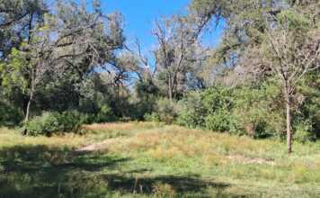 Cosquín: Cómo es y dónde se encuentra el descampado donde hallaron a Esmeralda