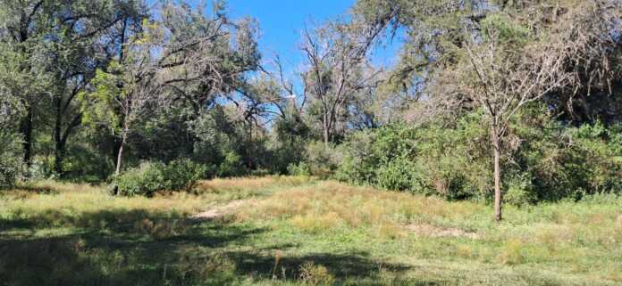 WhatsApp Image 2026-03-19 at 11.52.23 (1)