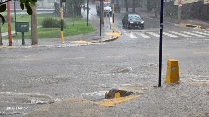 WhatsApp Image 2026-03-20 at 10.16.06